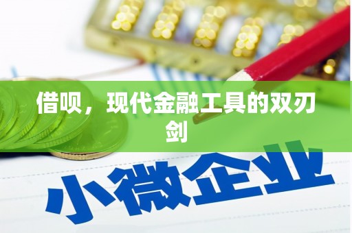 保德借呗，现代金融工具的双刃剑