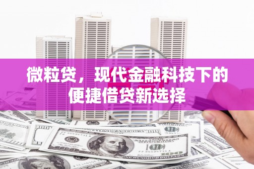 保德微粒贷，现代金融科技下的便捷借贷新选择