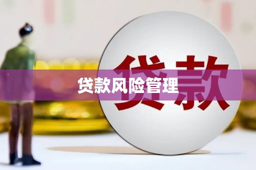 保德贷款风险管理