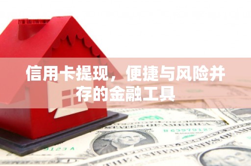 保德信用卡提现，便捷与风险并存的金融工具