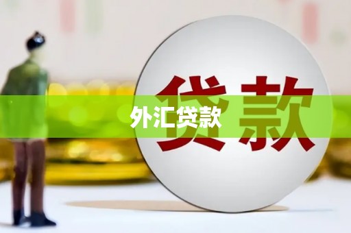 保德外汇贷款