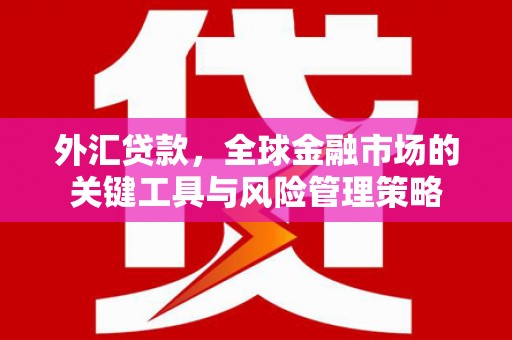 保德外汇贷款，全球金融市场的关键工具与风险管理策略