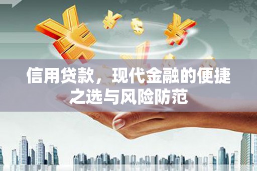 保德信用贷款，现代金融的便捷之选与风险防范