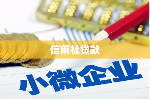 保德信用社贷款
