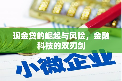 保德现金贷的崛起与风险，金融科技的双刃剑