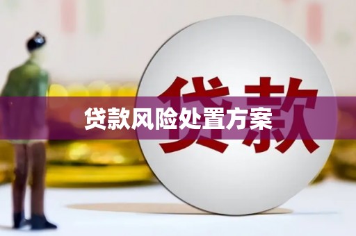 保德贷款风险处置方案