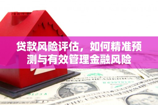 保德贷款风险评估，如何精准预测与有效管理金融风险