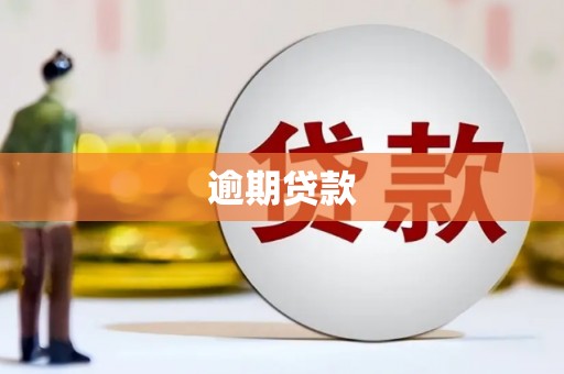 保德逾期贷款