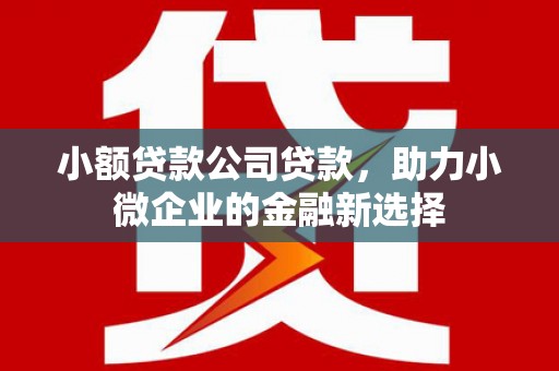 保德小额贷款公司贷款，助力小微企业的金融新选择