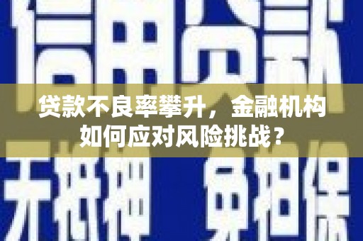 保德贷款不良率攀升，金融机构如何应对风险挑战？