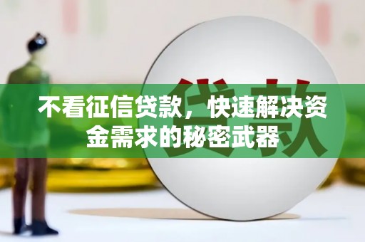 保德不看征信贷款，快速解决资金需求的秘密武器