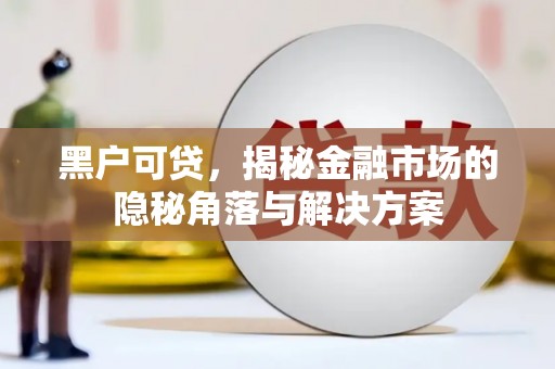 保德黑户可贷，揭秘金融市场的隐秘角落与解决方案