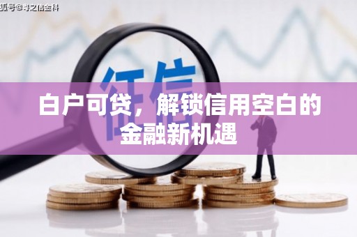 保德白户可贷，解锁信用空白的金融新机遇