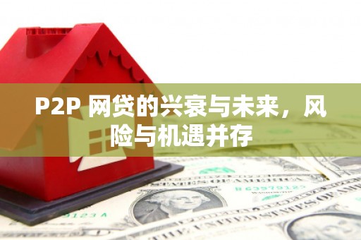 保德P2P 网贷的兴衰与未来，风险与机遇并存