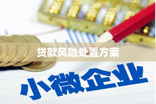 保德贷款风险处置方案