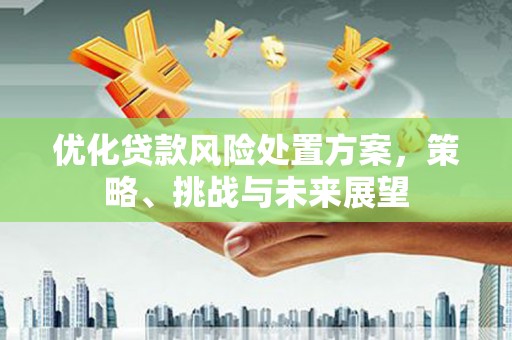 保德优化贷款风险处置方案，策略、挑战与未来展望