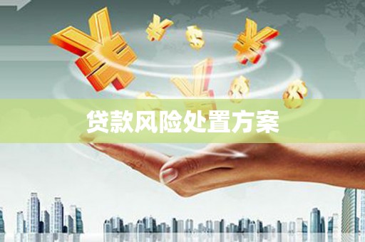保德贷款风险处置方案