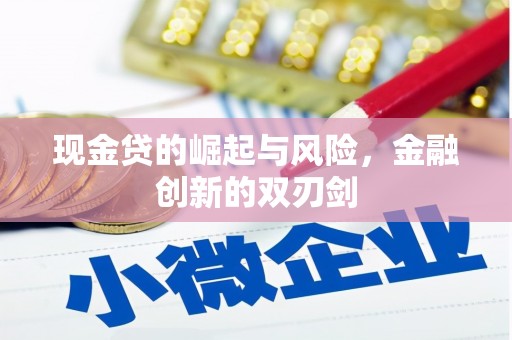 保德现金贷的崛起与风险，金融创新的双刃剑