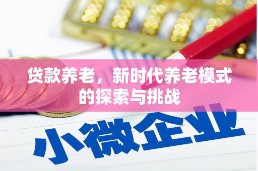 保德贷款养老，新时代养老模式的探索与挑战