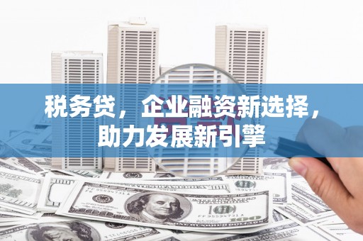 保德税务贷，企业融资新选择，助力发展新引擎