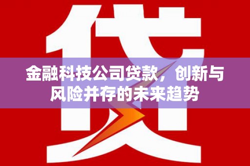 保德金融科技公司贷款，创新与风险并存的未来趋势