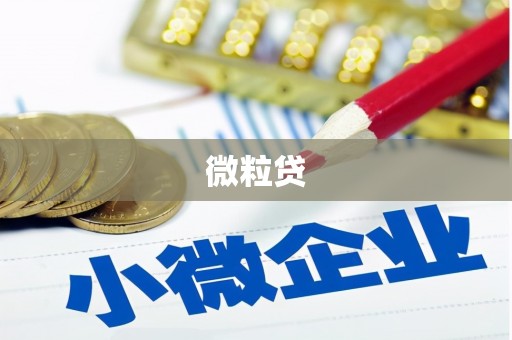 保德微粒贷
