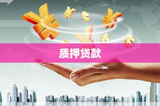 保德质押贷款