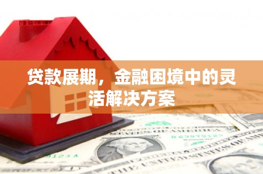 保德贷款展期，金融困境中的灵活解决方案