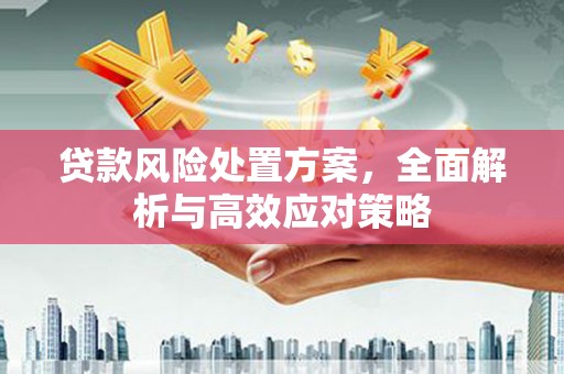 保德贷款风险处置方案，全面解析与高效应对策略