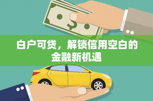 保德白户可贷，解锁信用空白的金融新机遇