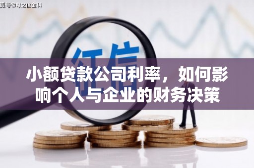 保德小额贷款公司利率，如何影响个人与企业的财务决策