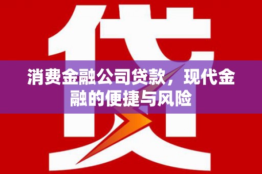 保德消费金融公司贷款，现代金融的便捷与风险