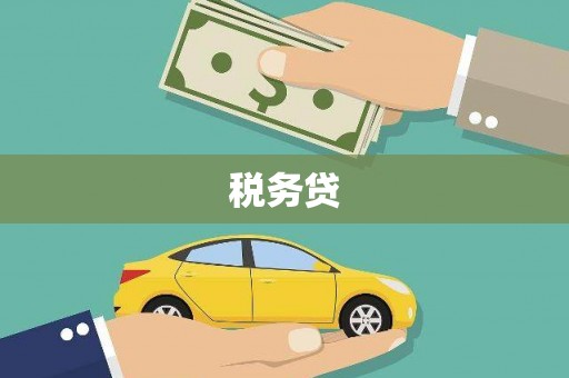 保德税务贷
