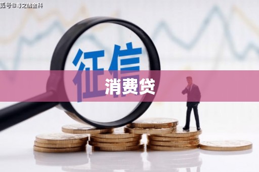 保德消费贷