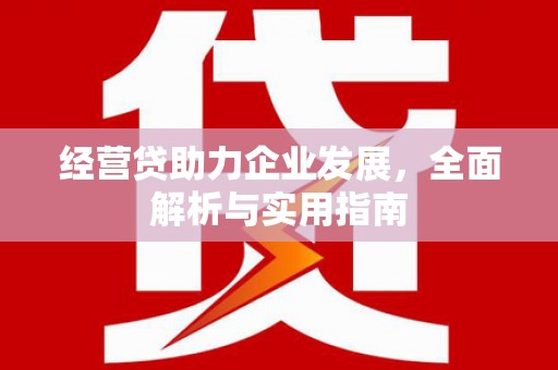 保德经营贷助力企业发展，全面解析与实用指南