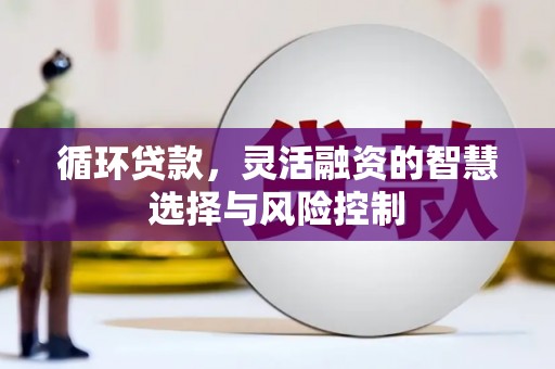 保德循环贷款，灵活融资的智慧选择与风险控制