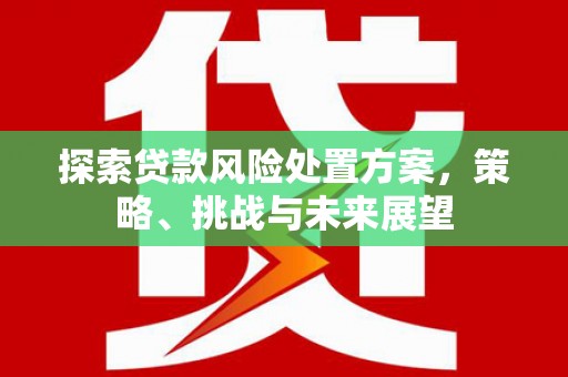 保德探索贷款风险处置方案，策略、挑战与未来展望