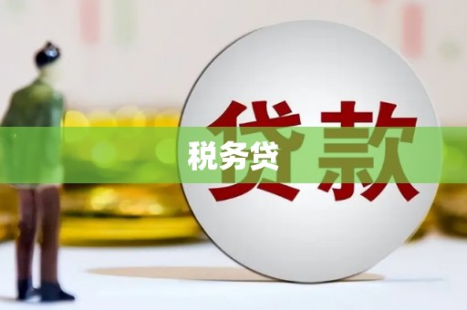 保德税务贷