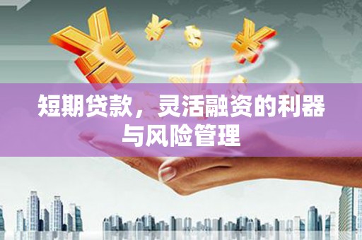 保德短期贷款，灵活融资的利器与风险管理