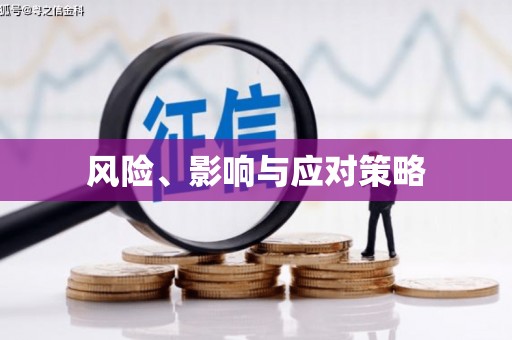 保德风险、影响与应对策略