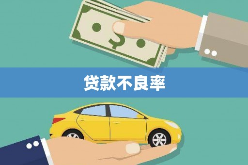保德贷款不良率