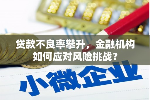 保德贷款不良率攀升，金融机构如何应对风险挑战？