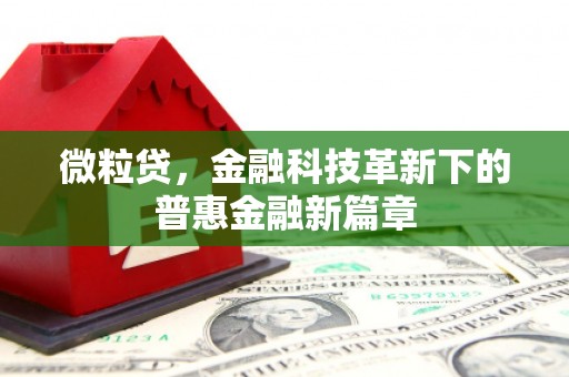 保德微粒贷，金融科技革新下的普惠金融新篇章