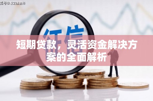 保德短期贷款，灵活资金解决方案的全面解析