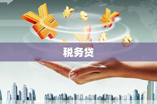 保德税务贷