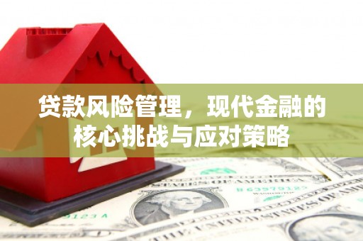 保德贷款风险管理，现代金融的核心挑战与应对策略