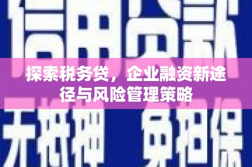 保德探索税务贷，企业融资新途径与风险管理策略