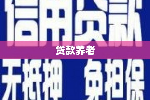 保德贷款养老