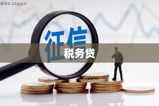 保德税务贷