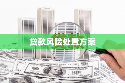 保德贷款风险处置方案